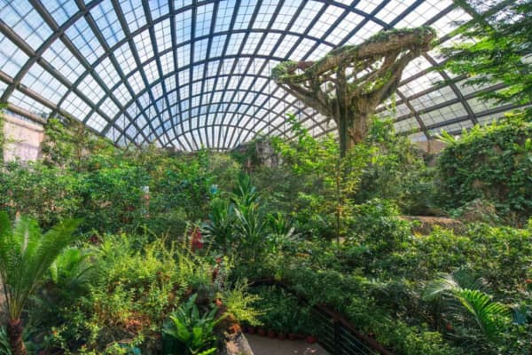 Entopia by Penang Butterfly Farm